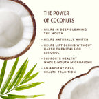 Coconut Powered Toothpaste