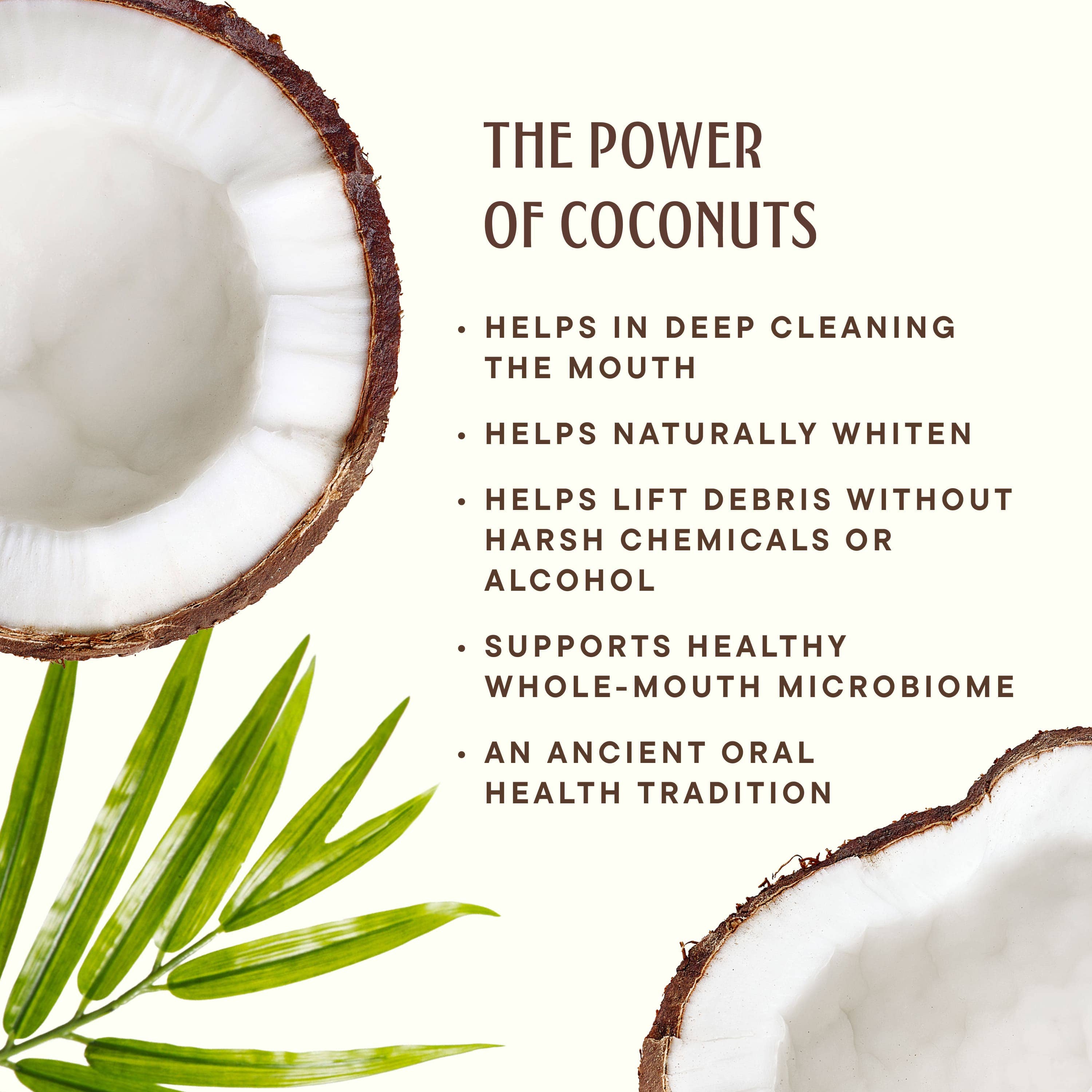 Coconut Powered Toothpaste