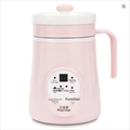 Slow Cooker 0,6L