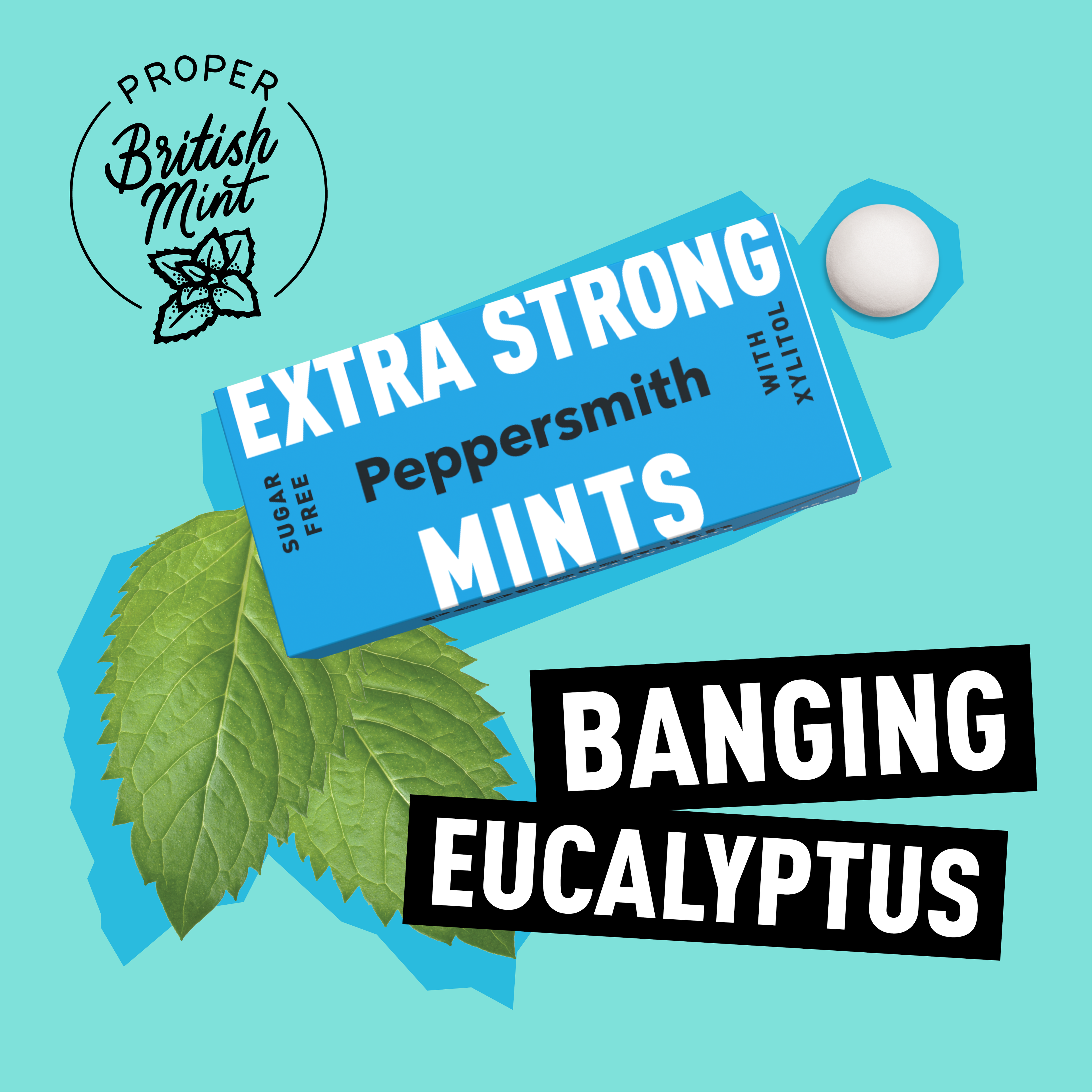 Peppersmith Mints 15g