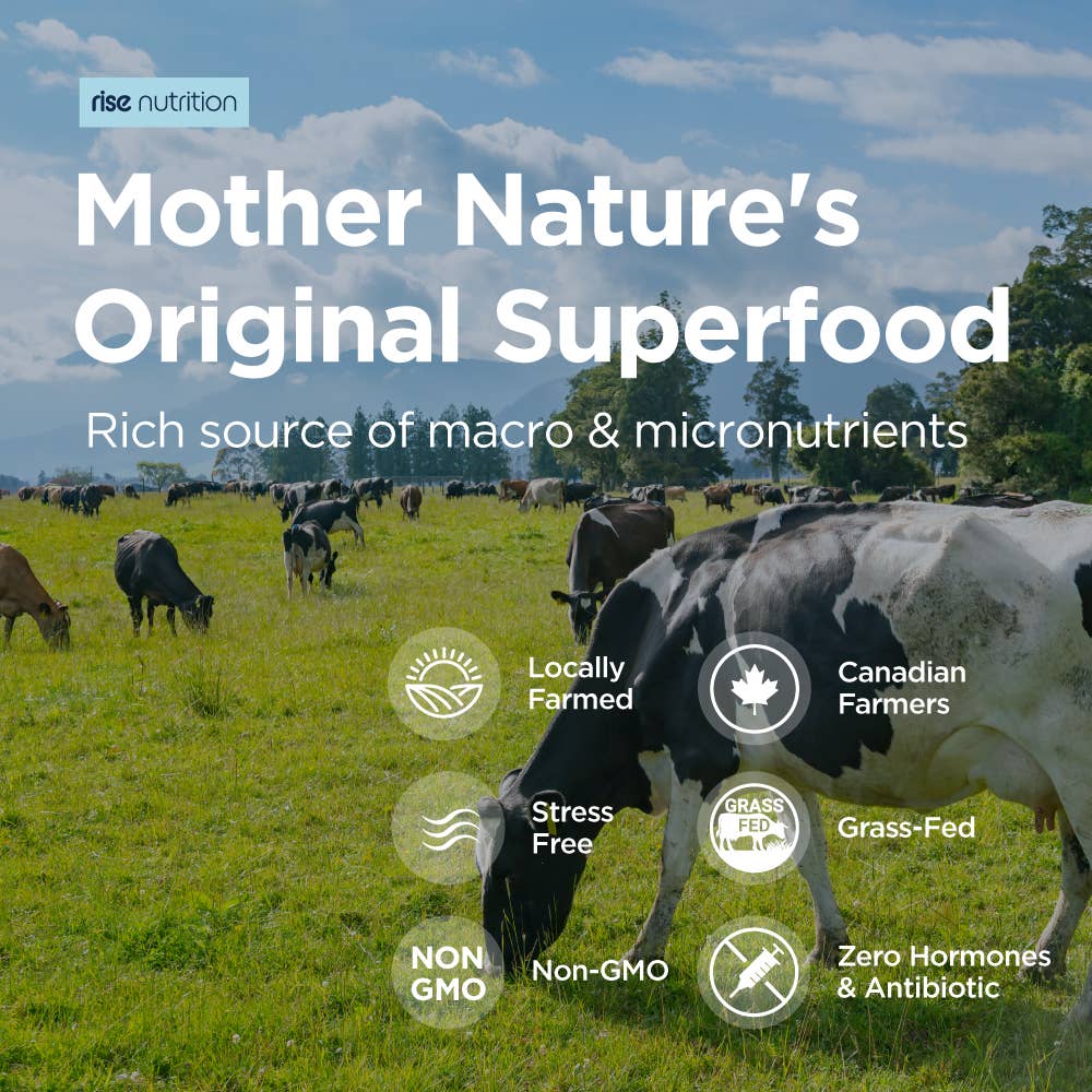 Colostrum Powder