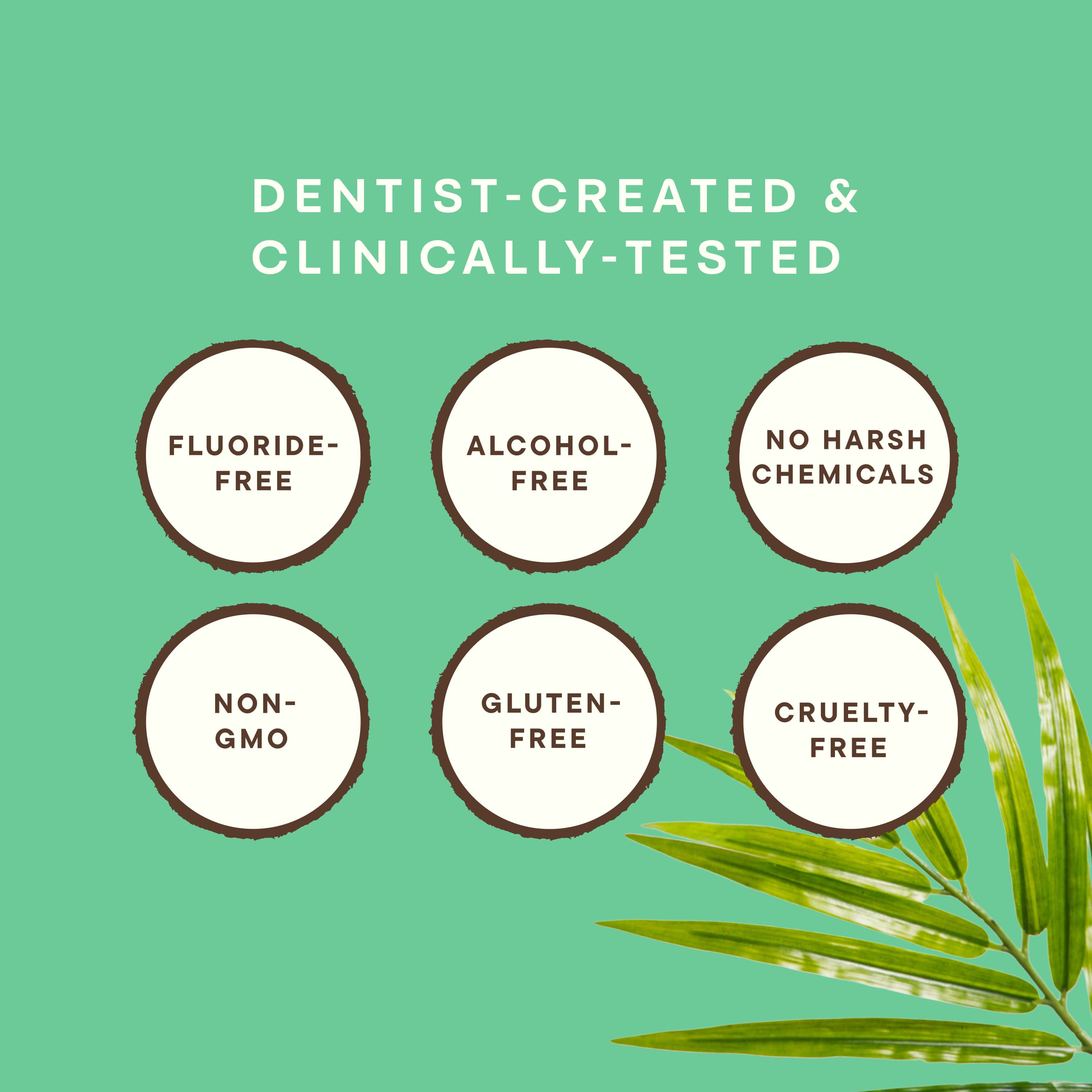 Coconut Powered Toothpaste